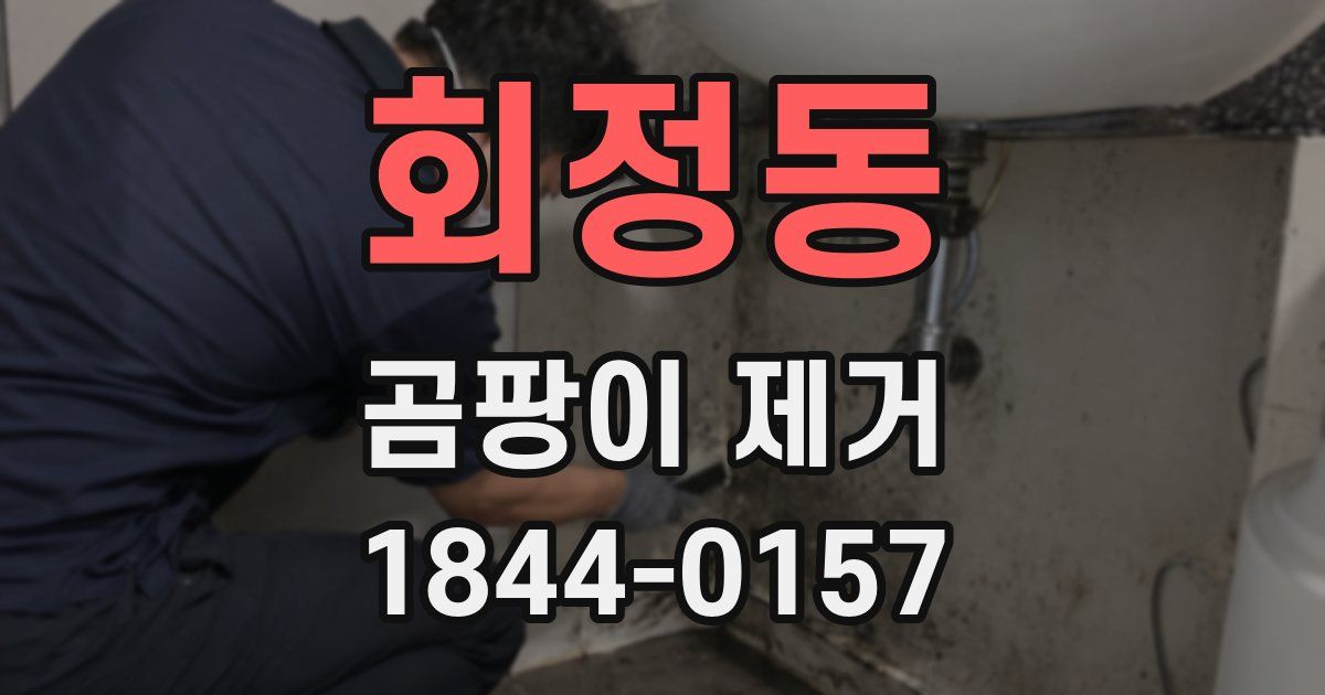 회정동 곰팡이 제거