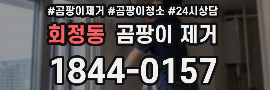 회정동 곰팡이 제거