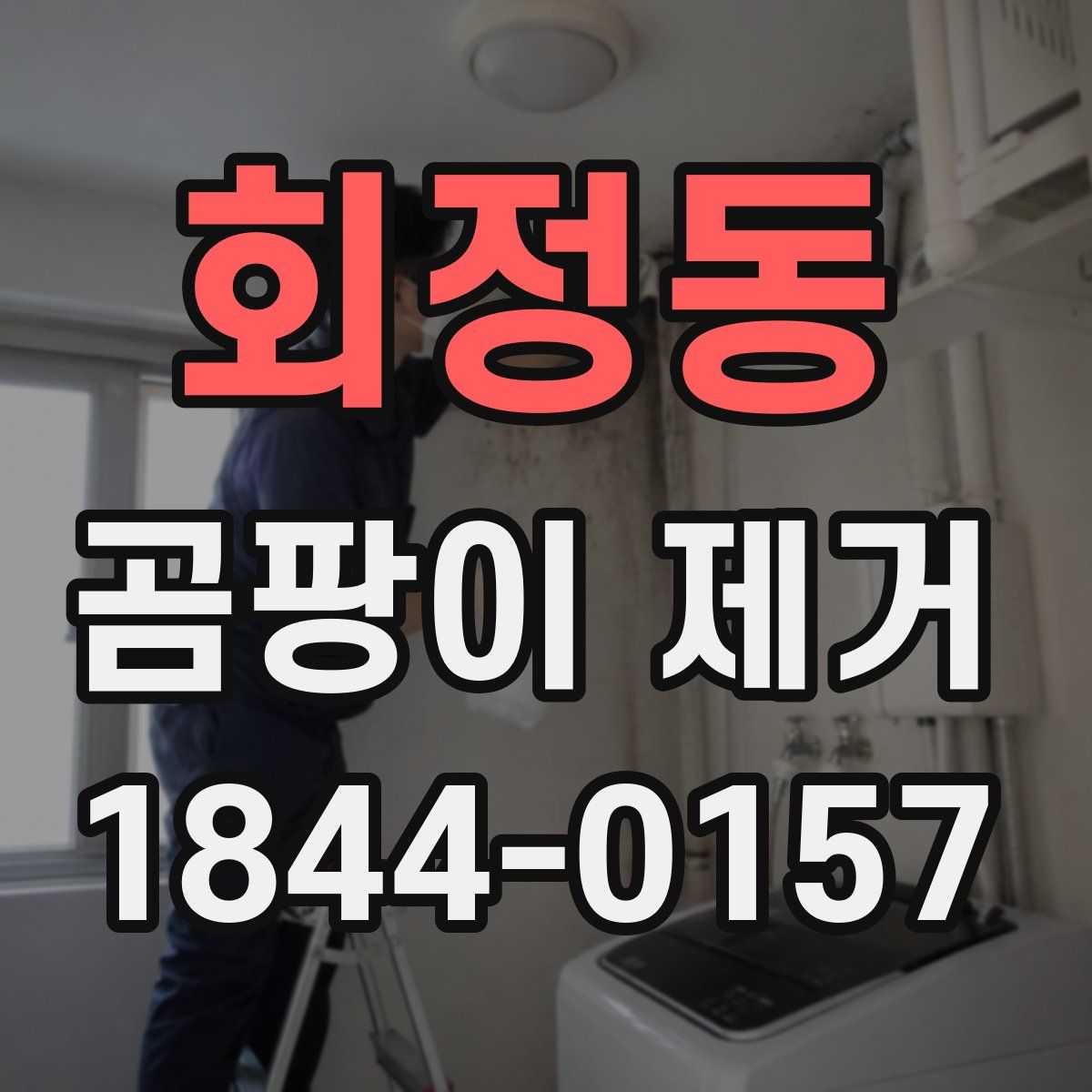 회정동 곰팡이 제거