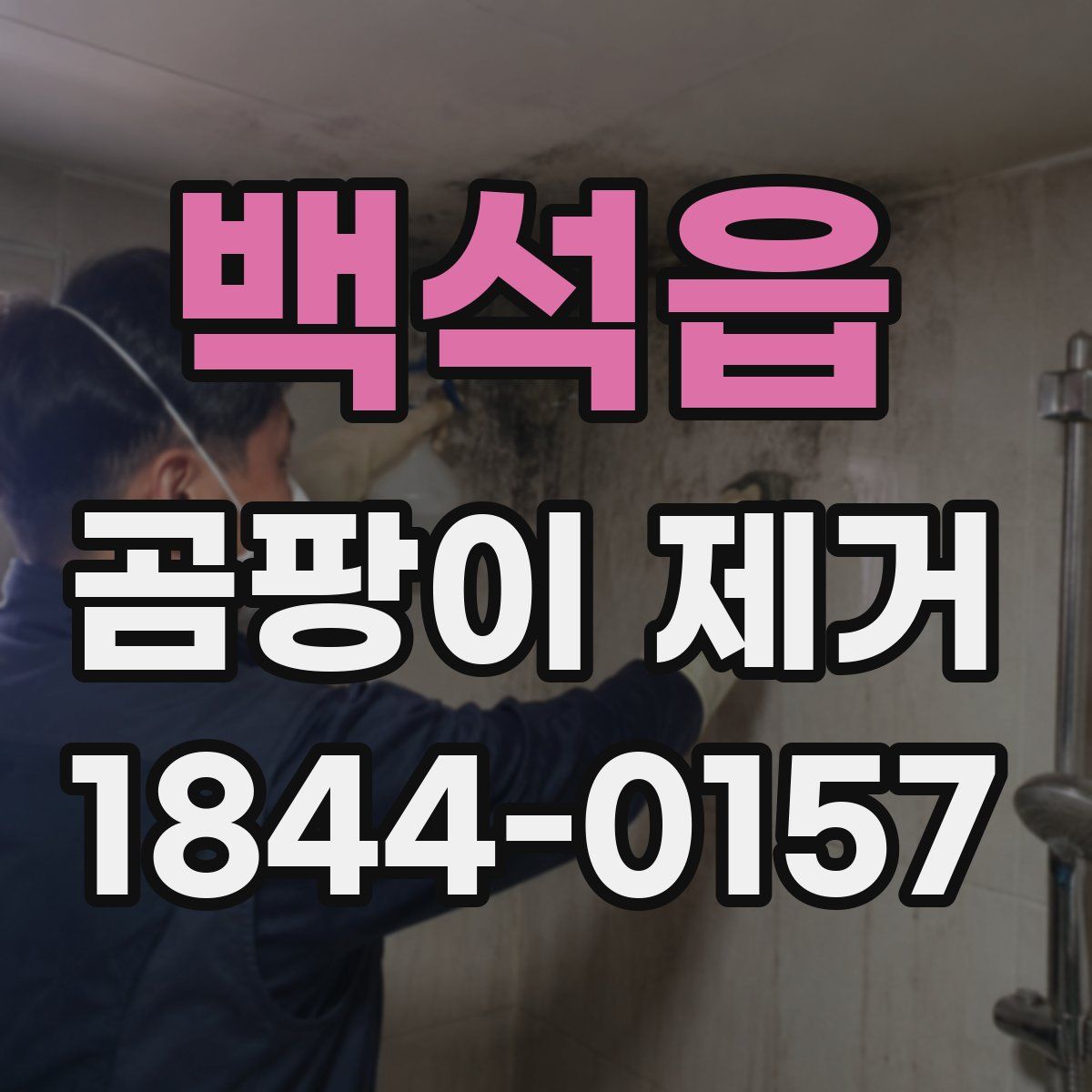 백석읍 곰팡이 제거