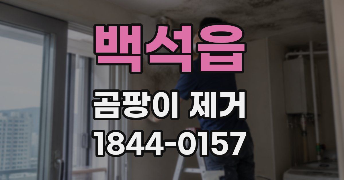백석읍 곰팡이 제거