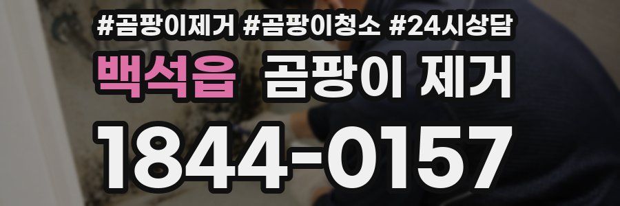 백석읍 곰팡이 제거