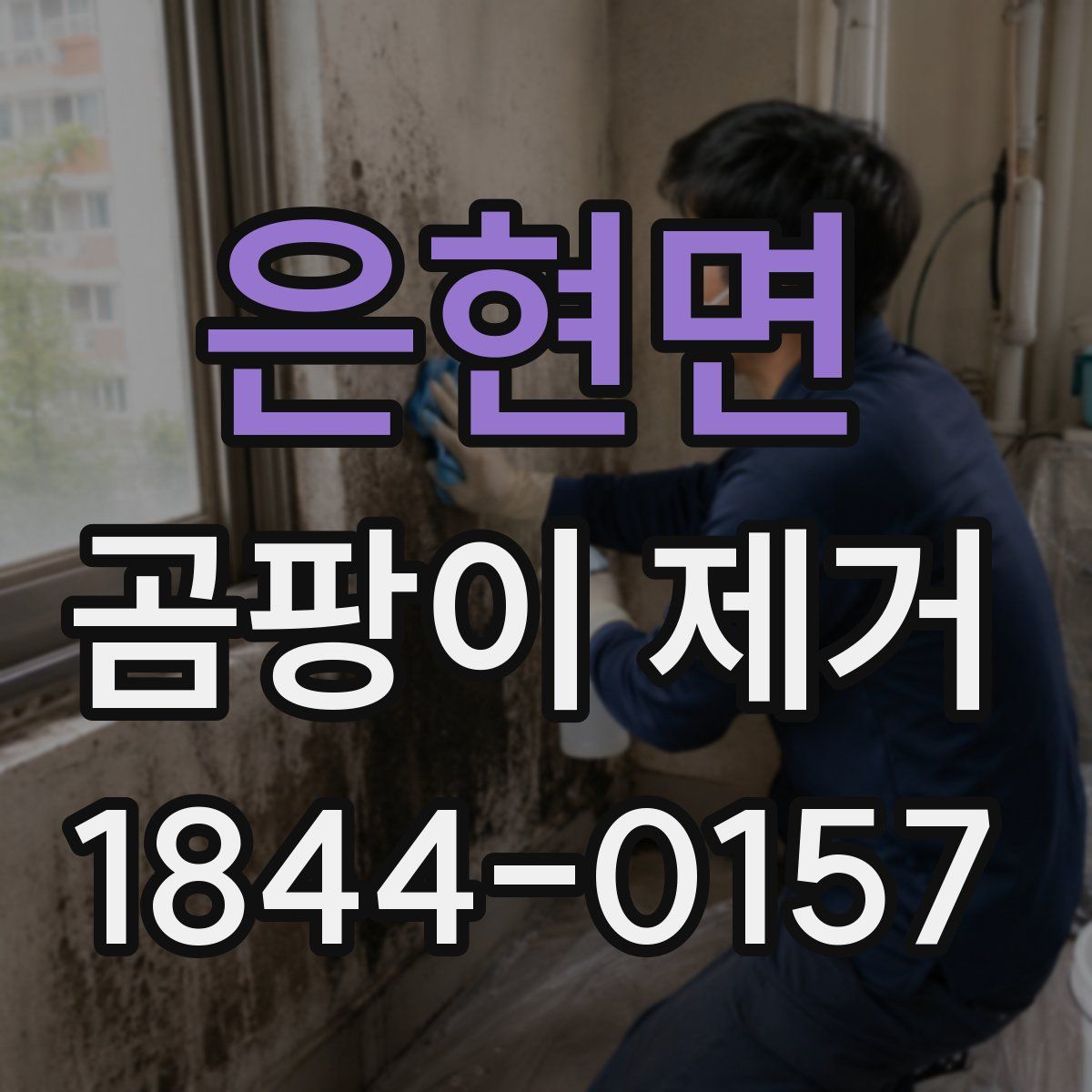 은현면 곰팡이 제거