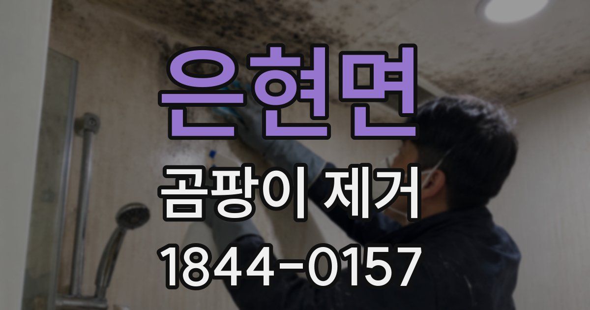 은현면 곰팡이 제거