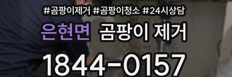 은현면 곰팡이 제거