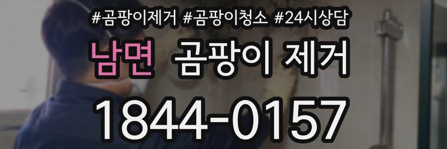 남면 곰팡이 제거
