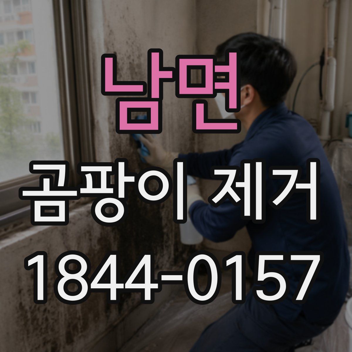 남면 곰팡이 제거