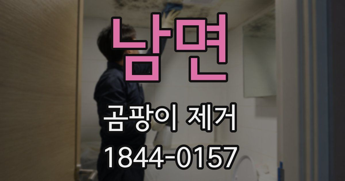 남면 곰팡이 제거