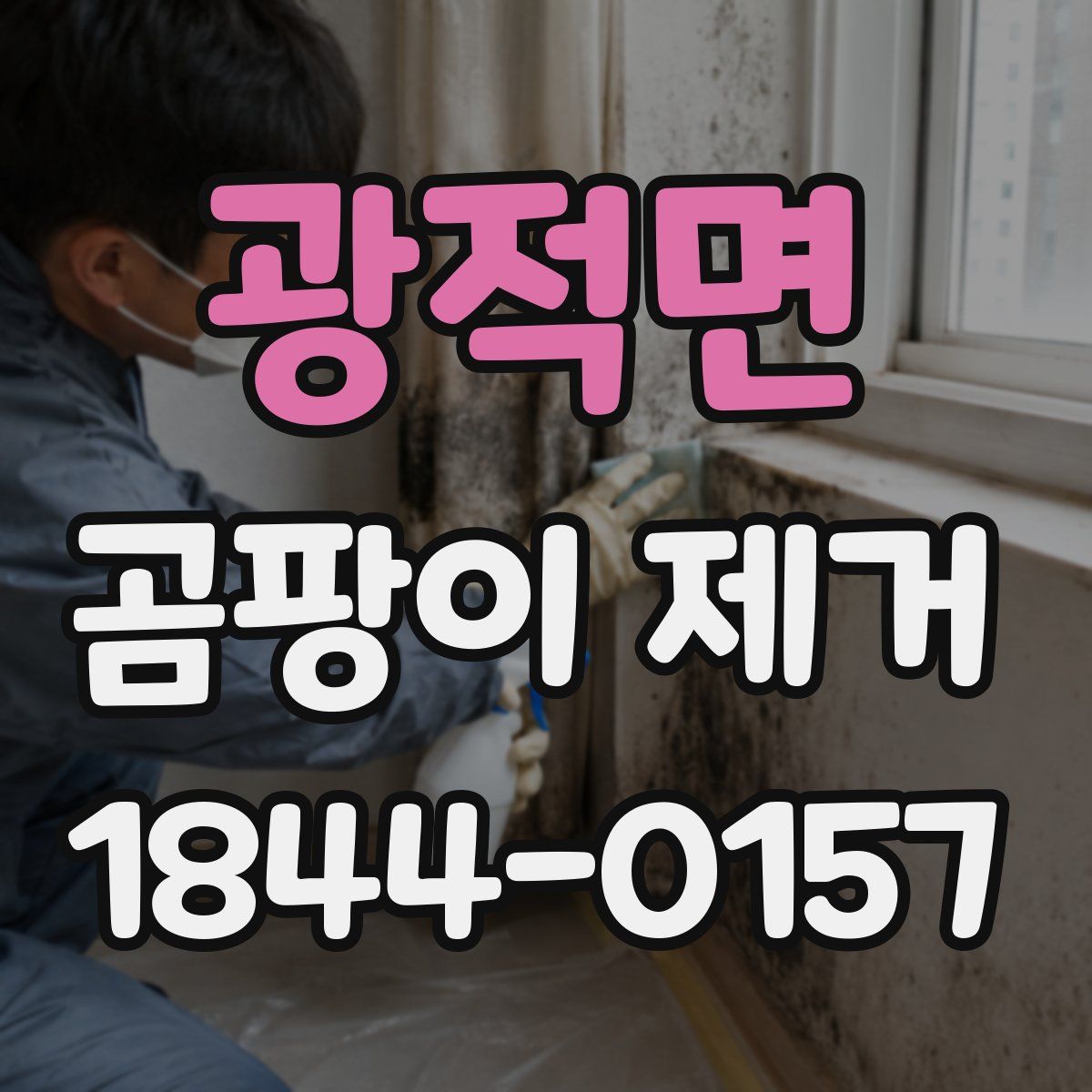 광적면 곰팡이 제거