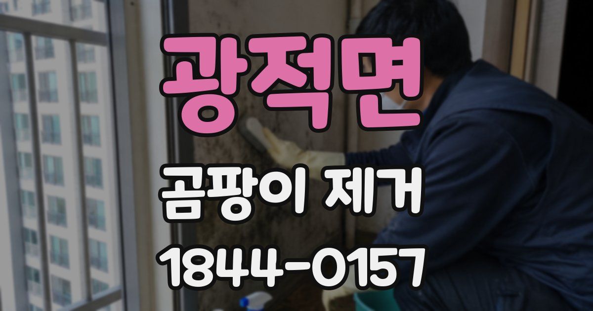 광적면 곰팡이 제거
