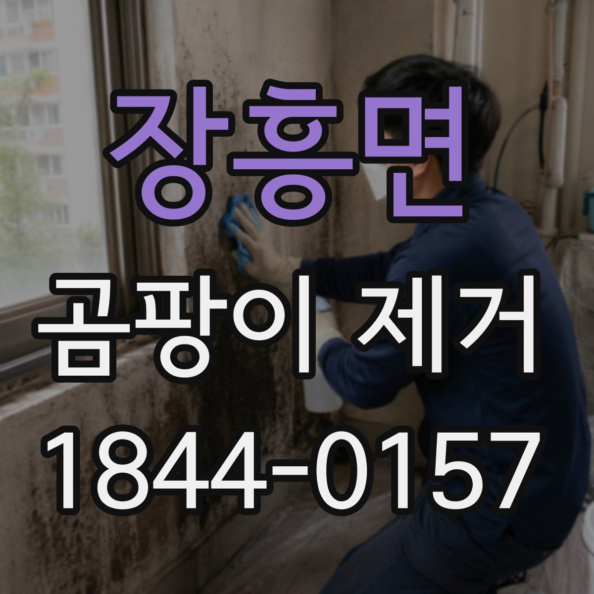 장흥면 곰팡이 제거