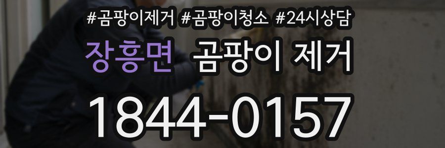 장흥면 곰팡이 제거