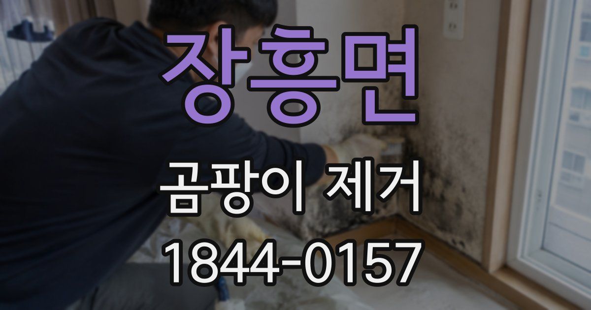 장흥면 곰팡이 제거