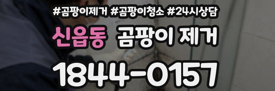 신읍동 곰팡이 제거