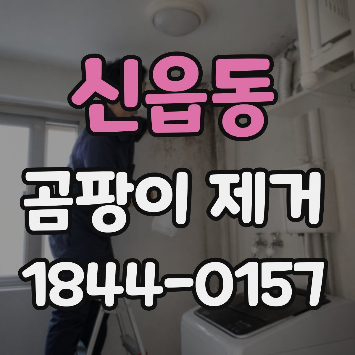 신읍동 곰팡이 제거