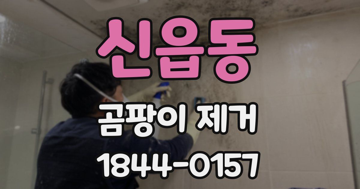 신읍동 곰팡이 제거