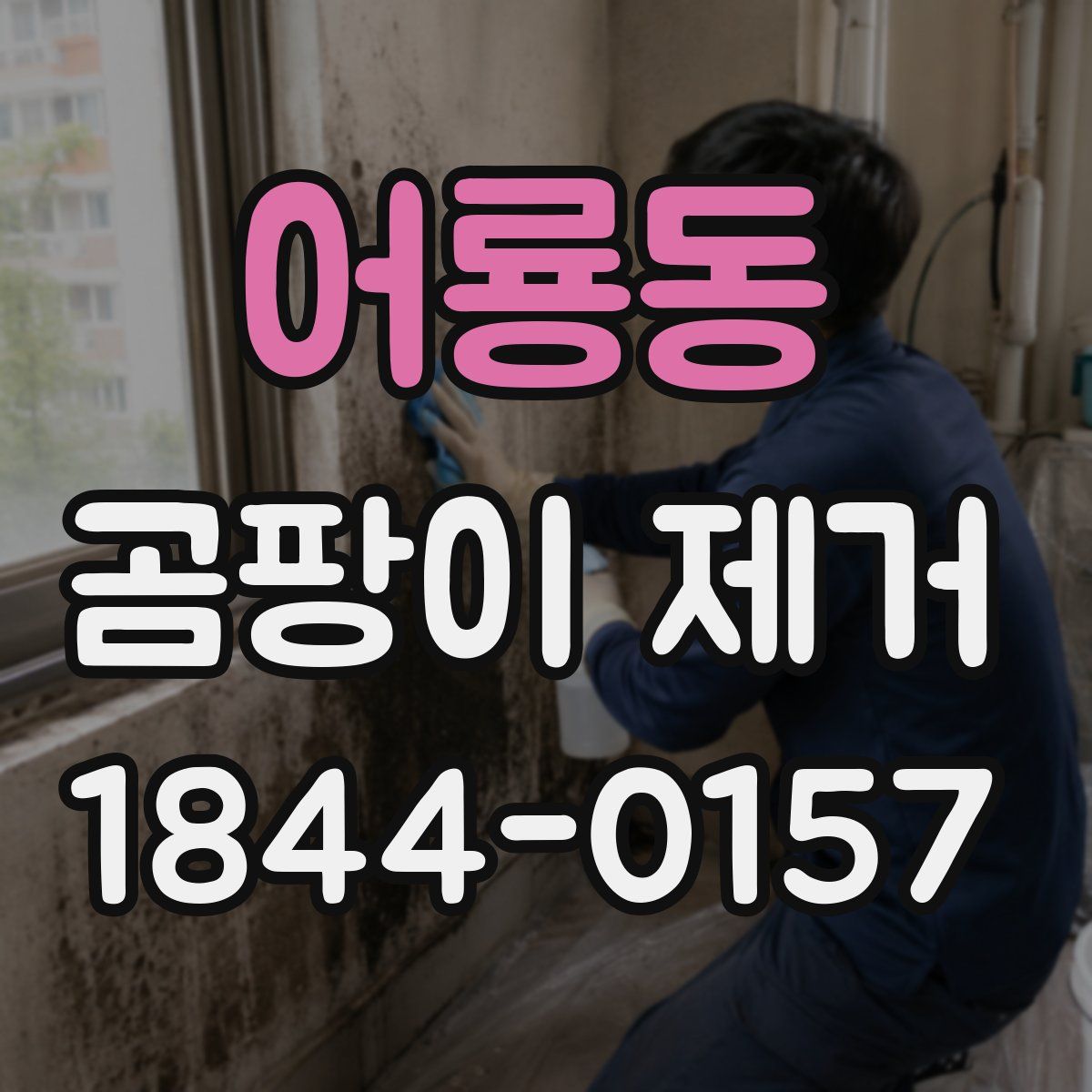 어룡동 곰팡이 제거