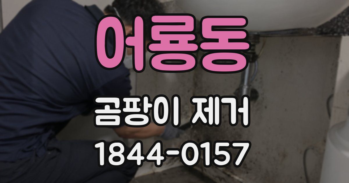 어룡동 곰팡이 제거