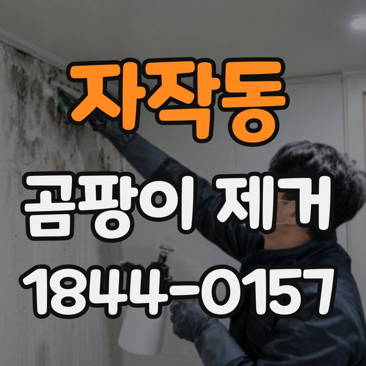 자작동 곰팡이 제거
