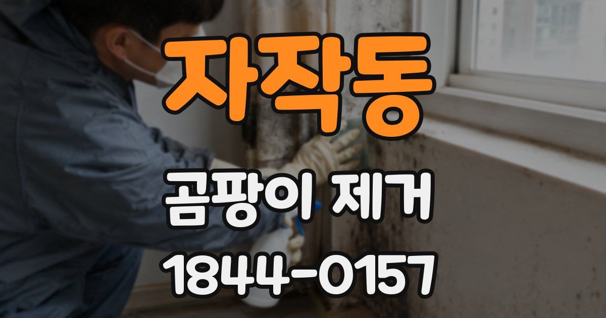 자작동 곰팡이 제거