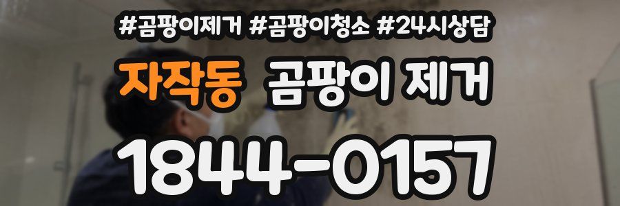 자작동 곰팡이 제거