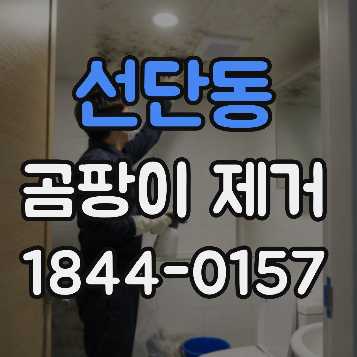 선단동 곰팡이 제거