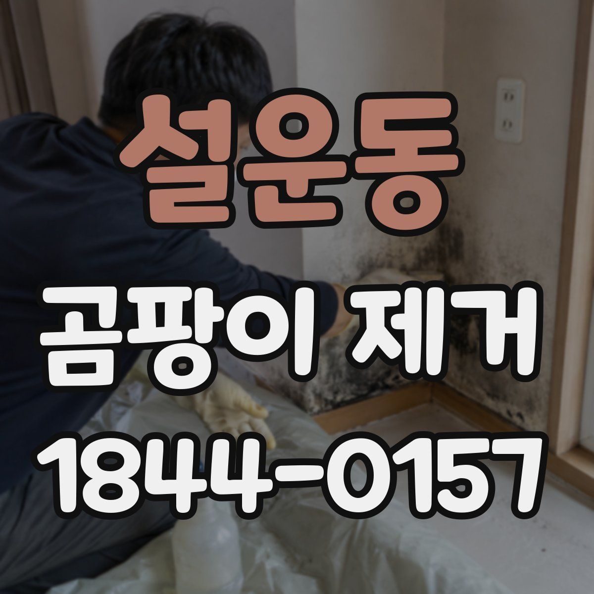설운동 곰팡이 제거