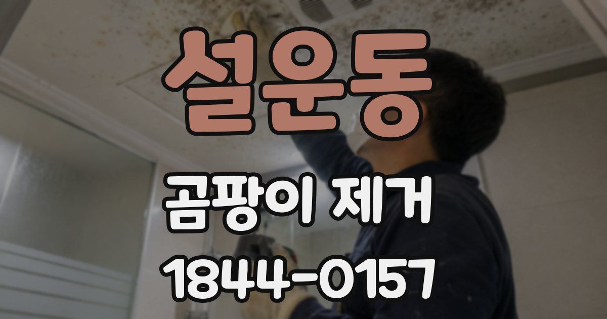 설운동 곰팡이 제거