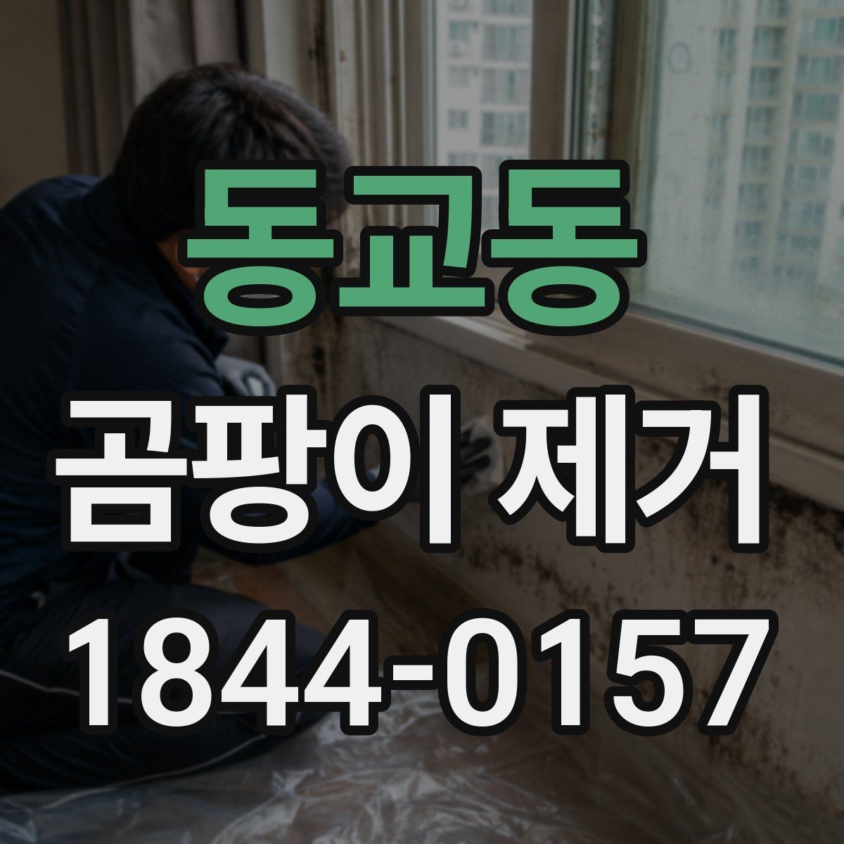 동교동 곰팡이 제거 집수리 전 누수 흔적을 확인하는 법