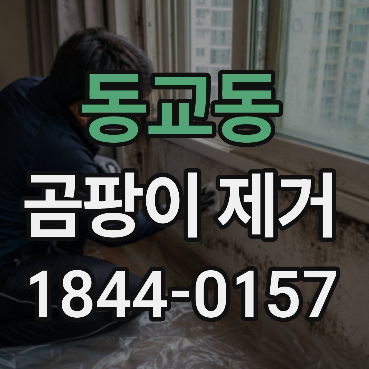 동교동 곰팡이 제거