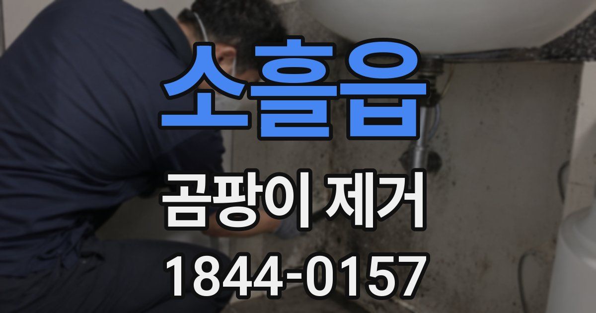 소흘읍 곰팡이 제거