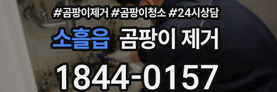 소흘읍 곰팡이 제거