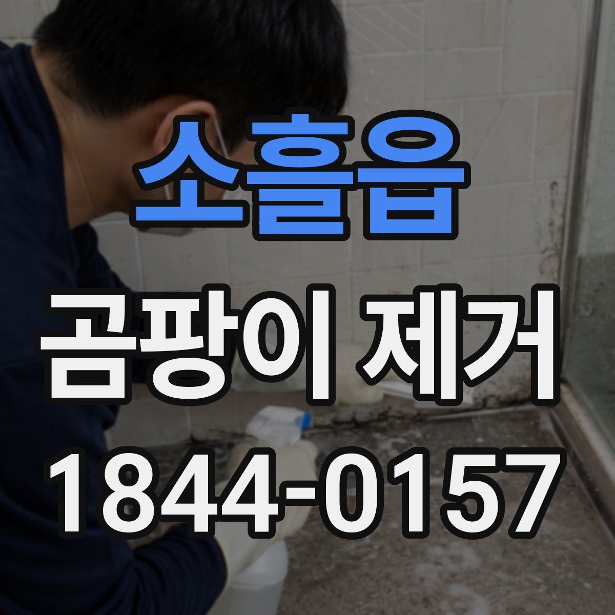 소흘읍 곰팡이 제거