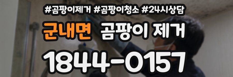 군내면 곰팡이 제거