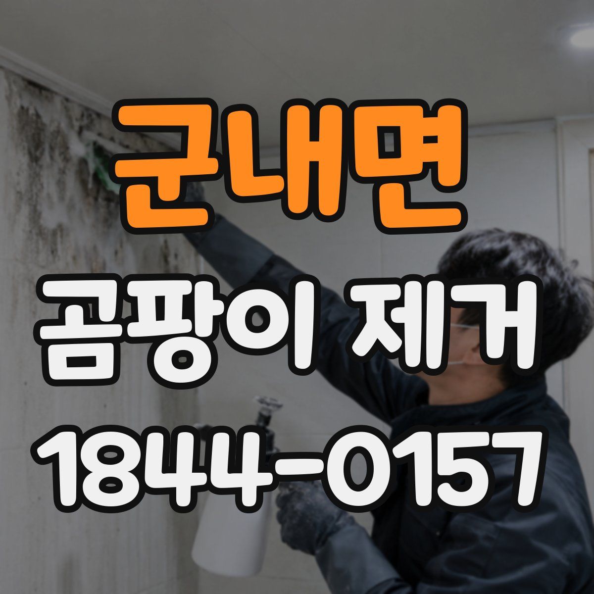 군내면 곰팡이 제거