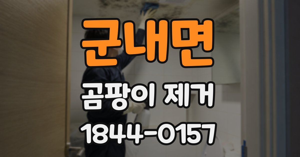 군내면 곰팡이 제거