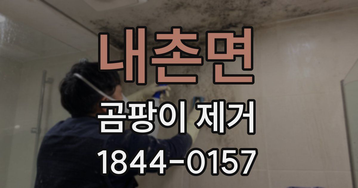 내촌면 곰팡이 제거