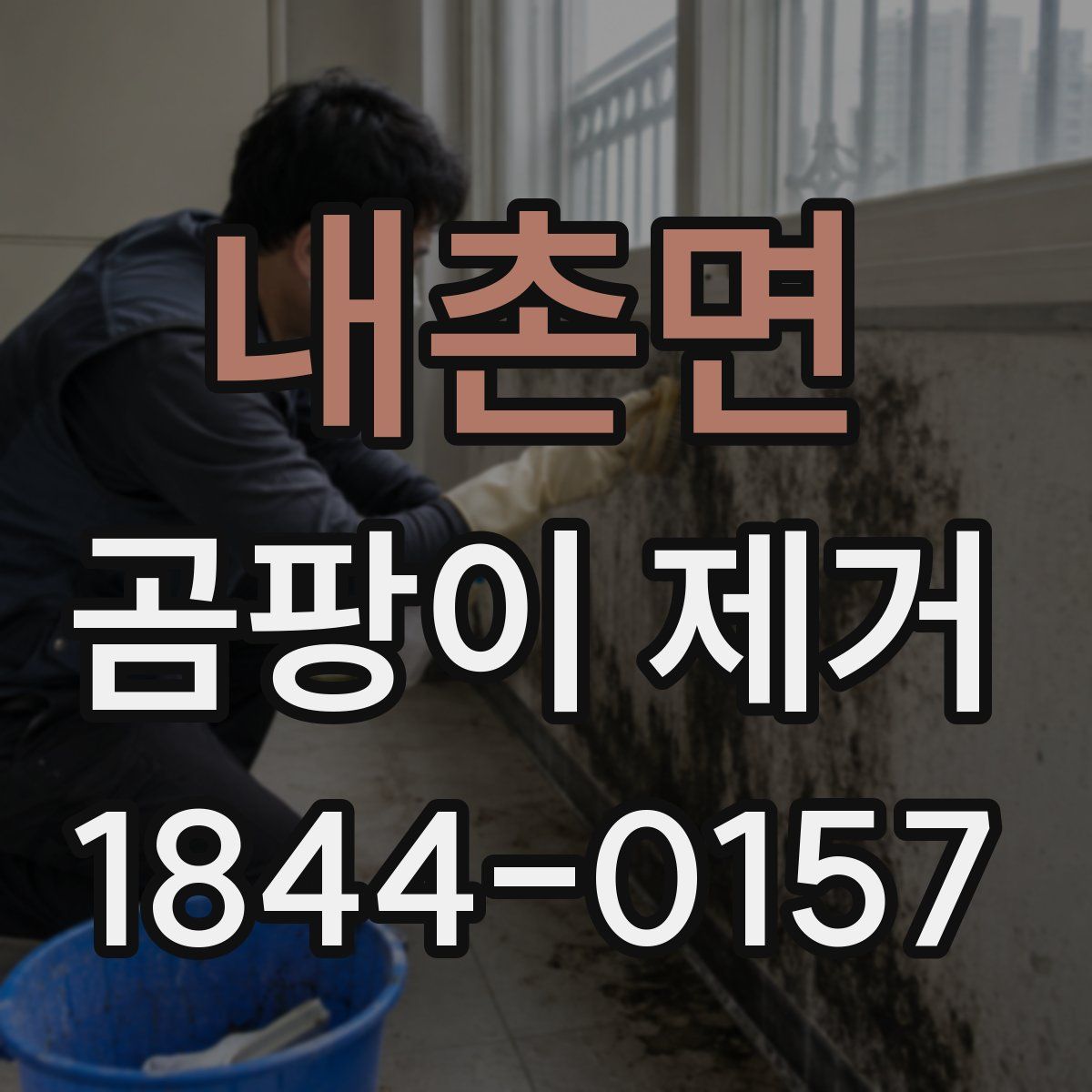 내촌면 곰팡이 제거