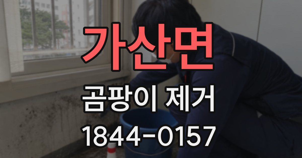 가산면 곰팡이 제거