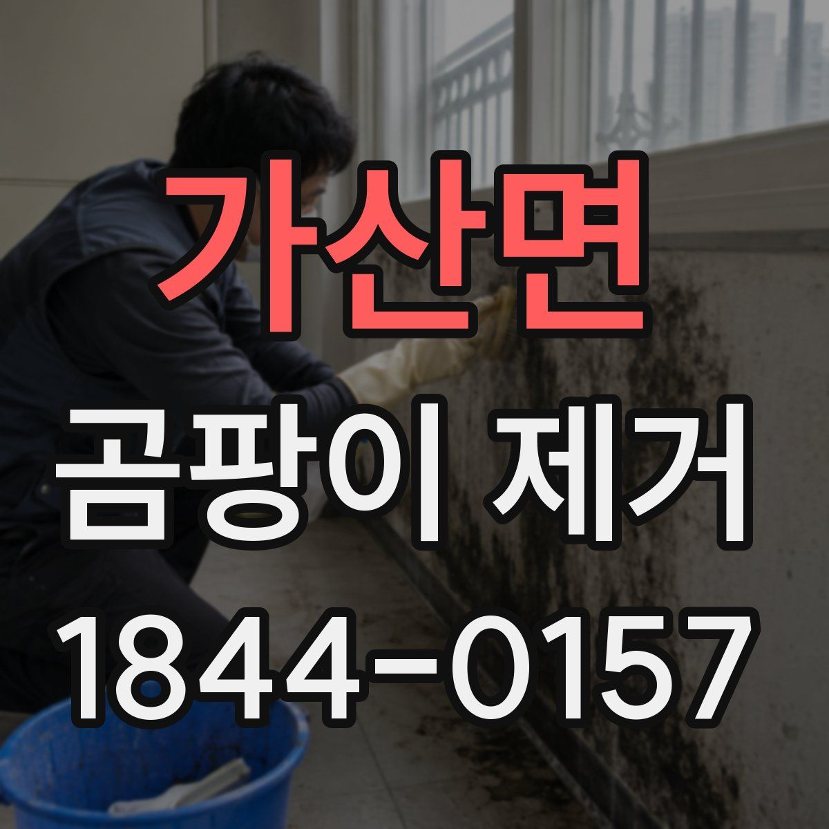 가산면 곰팡이 제거