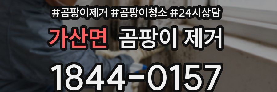 가산면 곰팡이 제거