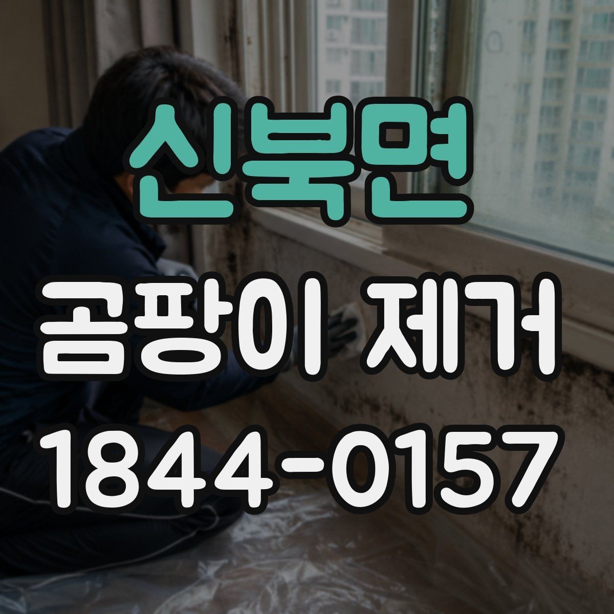 신북면 곰팡이 제거 자연 건조와 세척 순서를 나눠서 정리