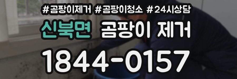 신북면 곰팡이 제거
