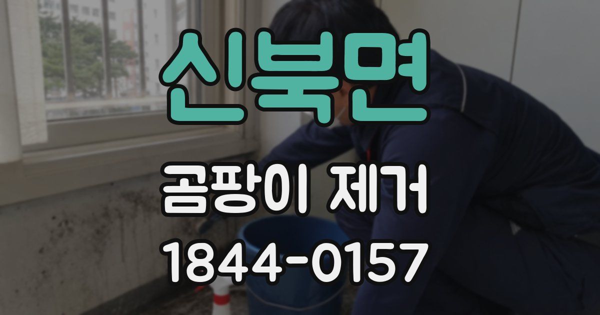 신북면 곰팡이 제거