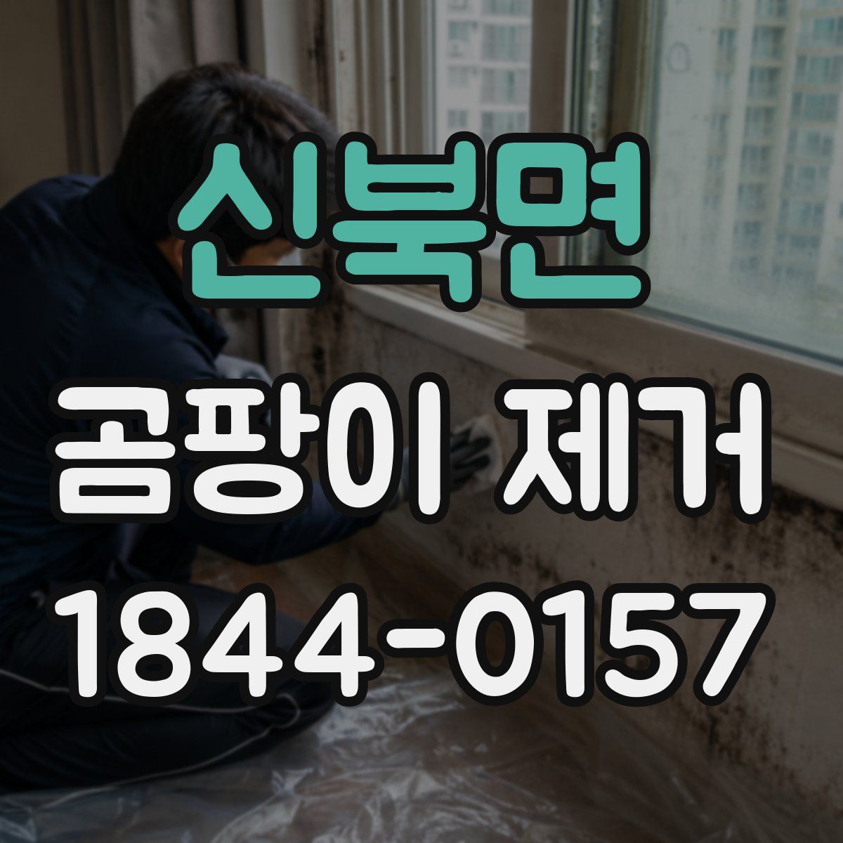 신북면 곰팡이 제거