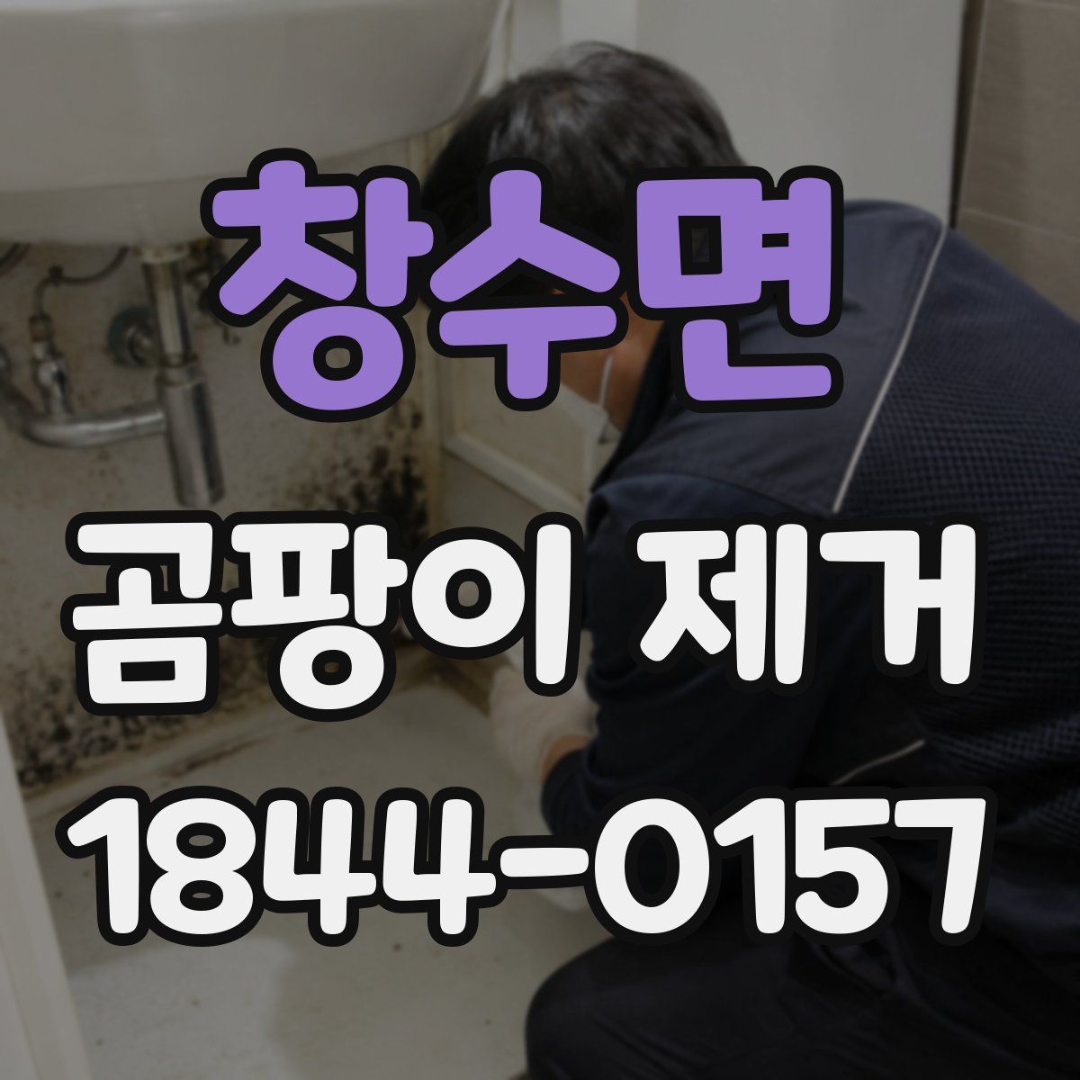 창수면 곰팡이 제거