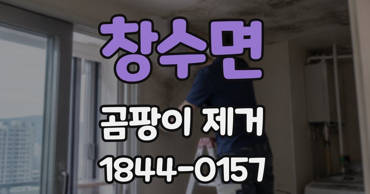 창수면 곰팡이 제거