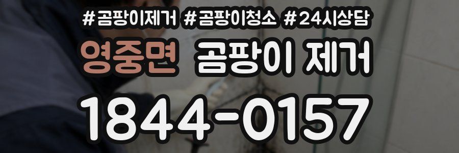 영중면 곰팡이 제거