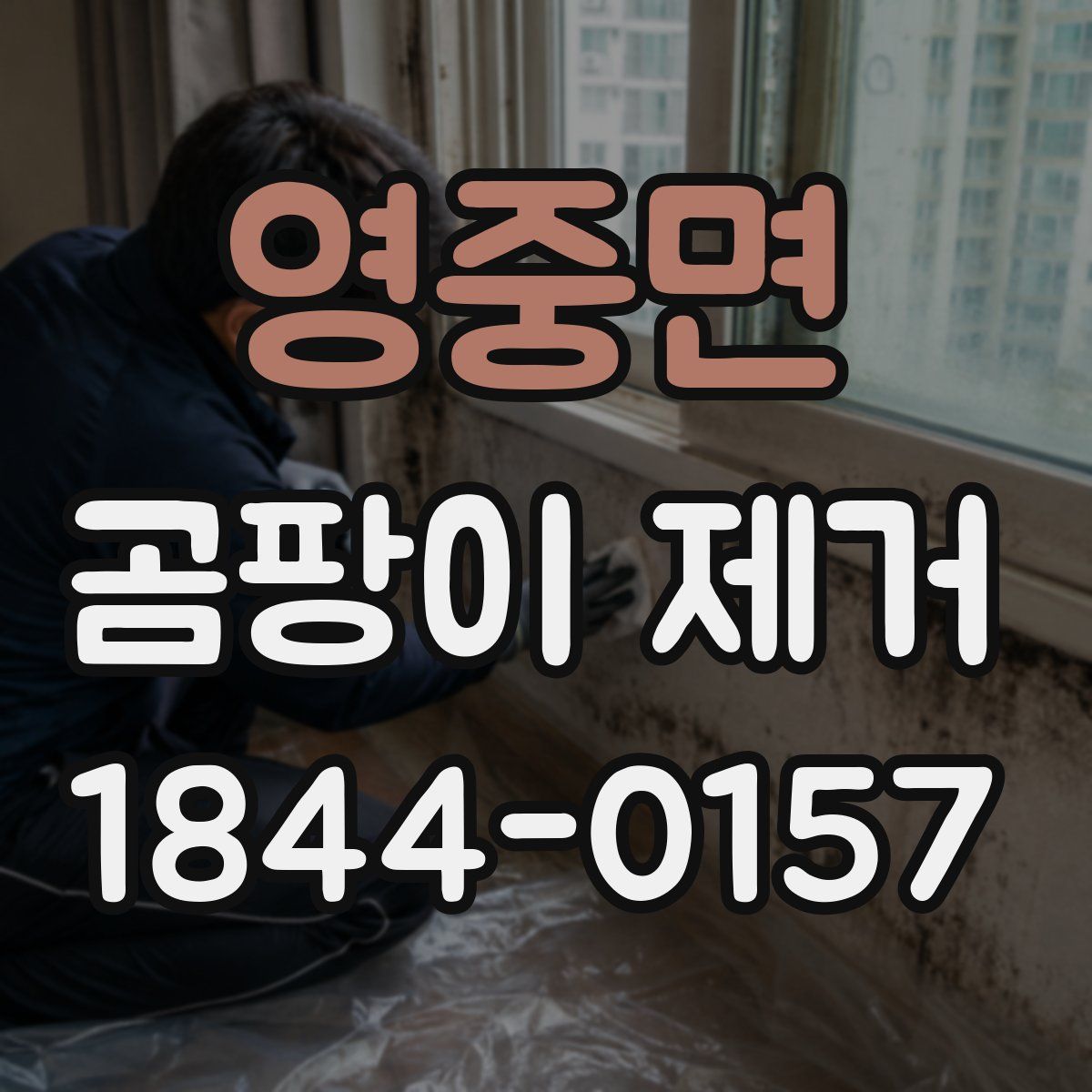 영중면 곰팡이 제거
