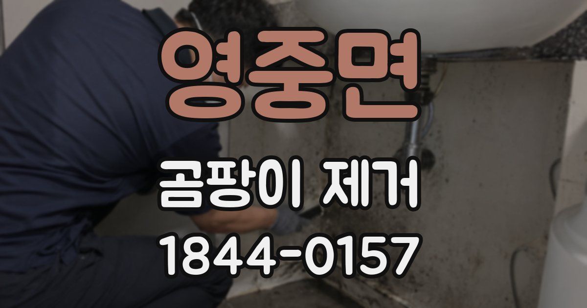 영중면 곰팡이 제거